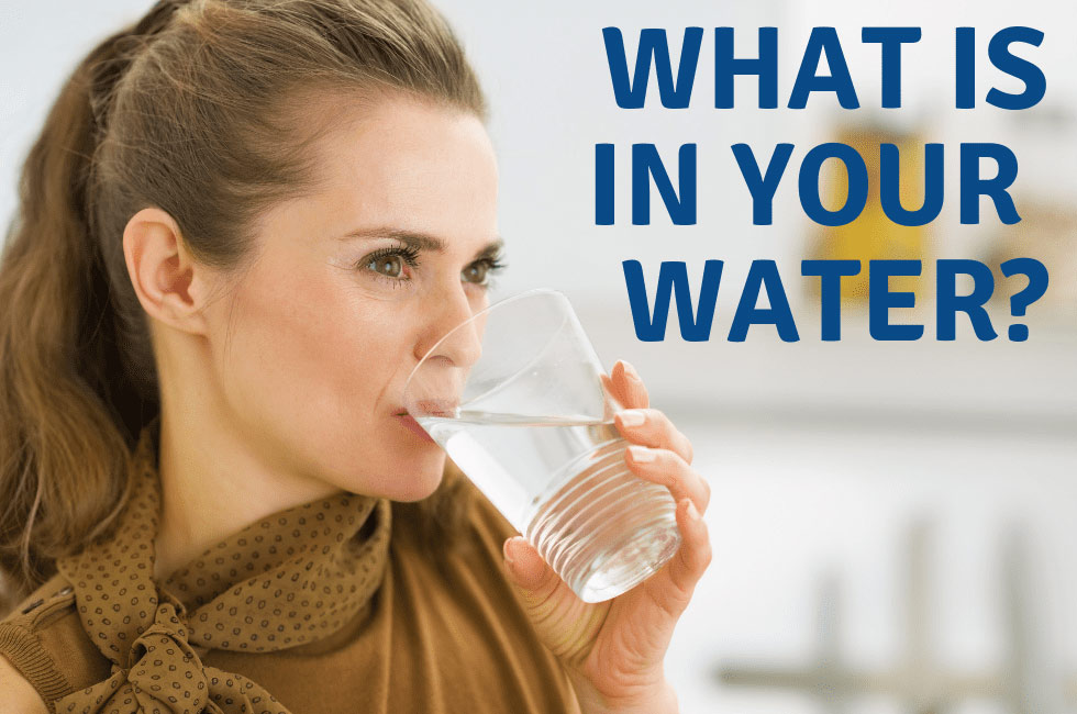 What's in Your Water?